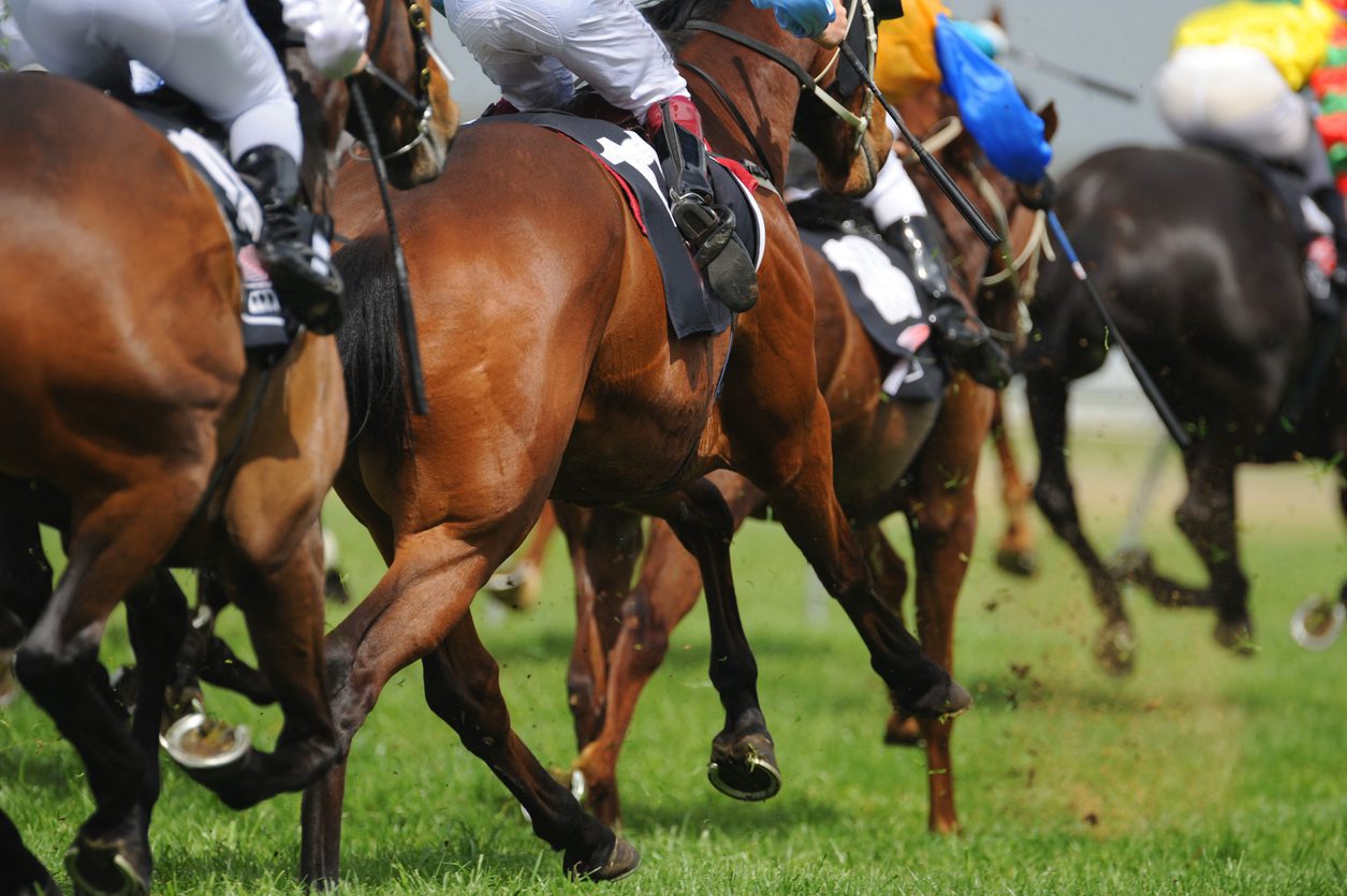 Horse Racing Medics | MedicsUK
